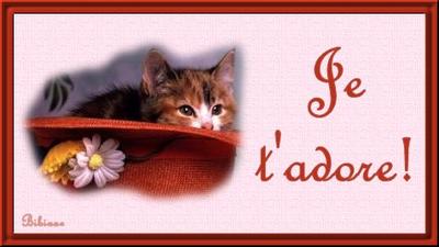 Pour toi ma Mimi  je t'aime